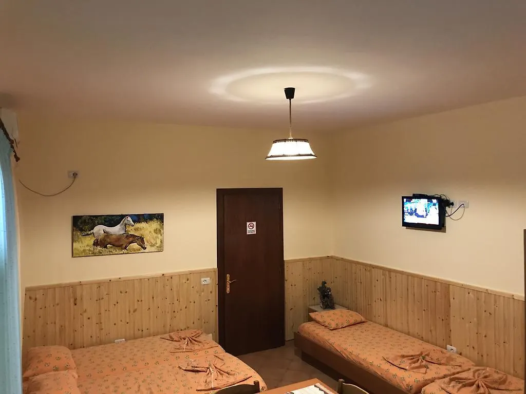게스트하우스 Guroal Holiday House Shëngjin